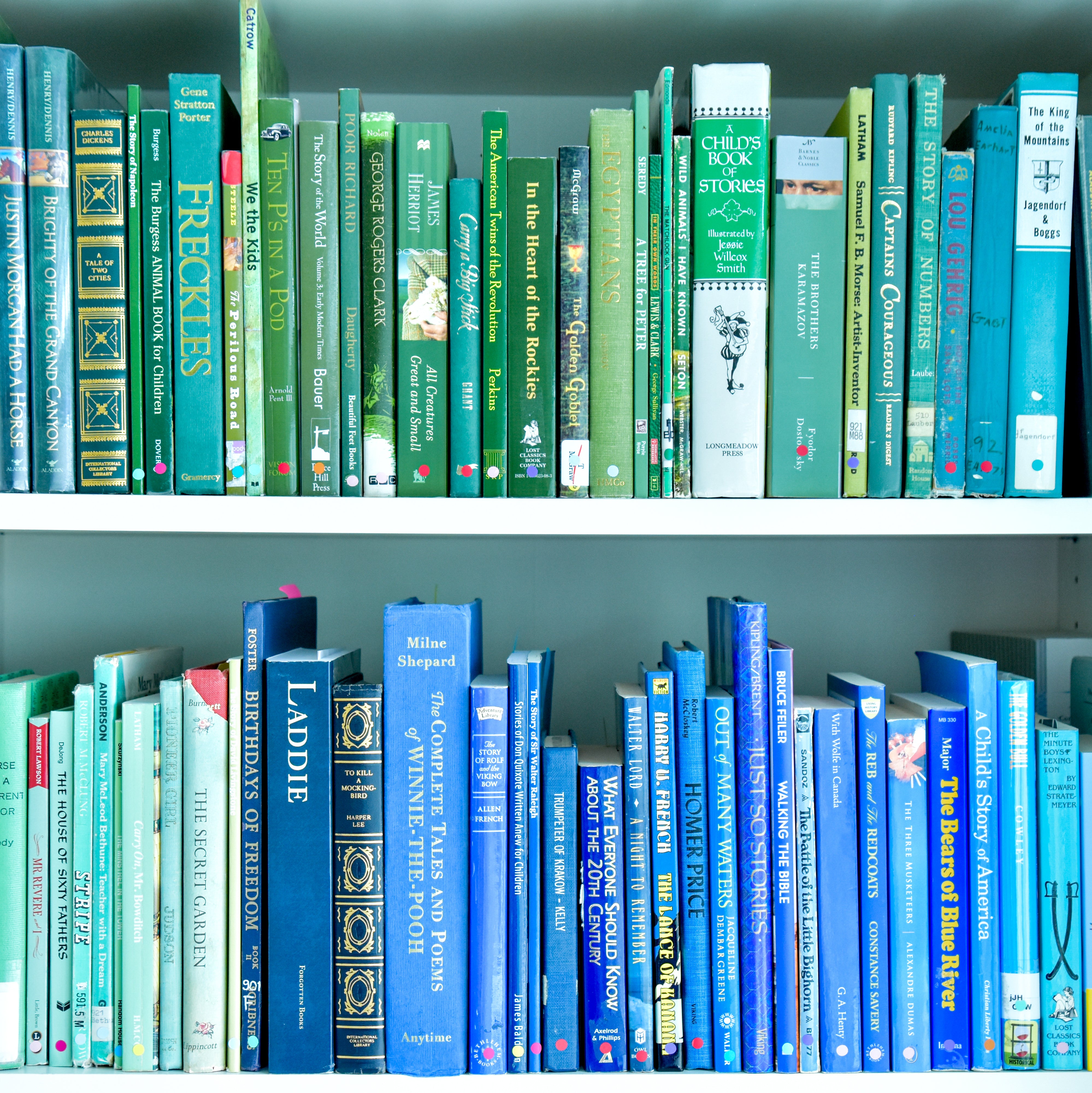 Build your homeschool library