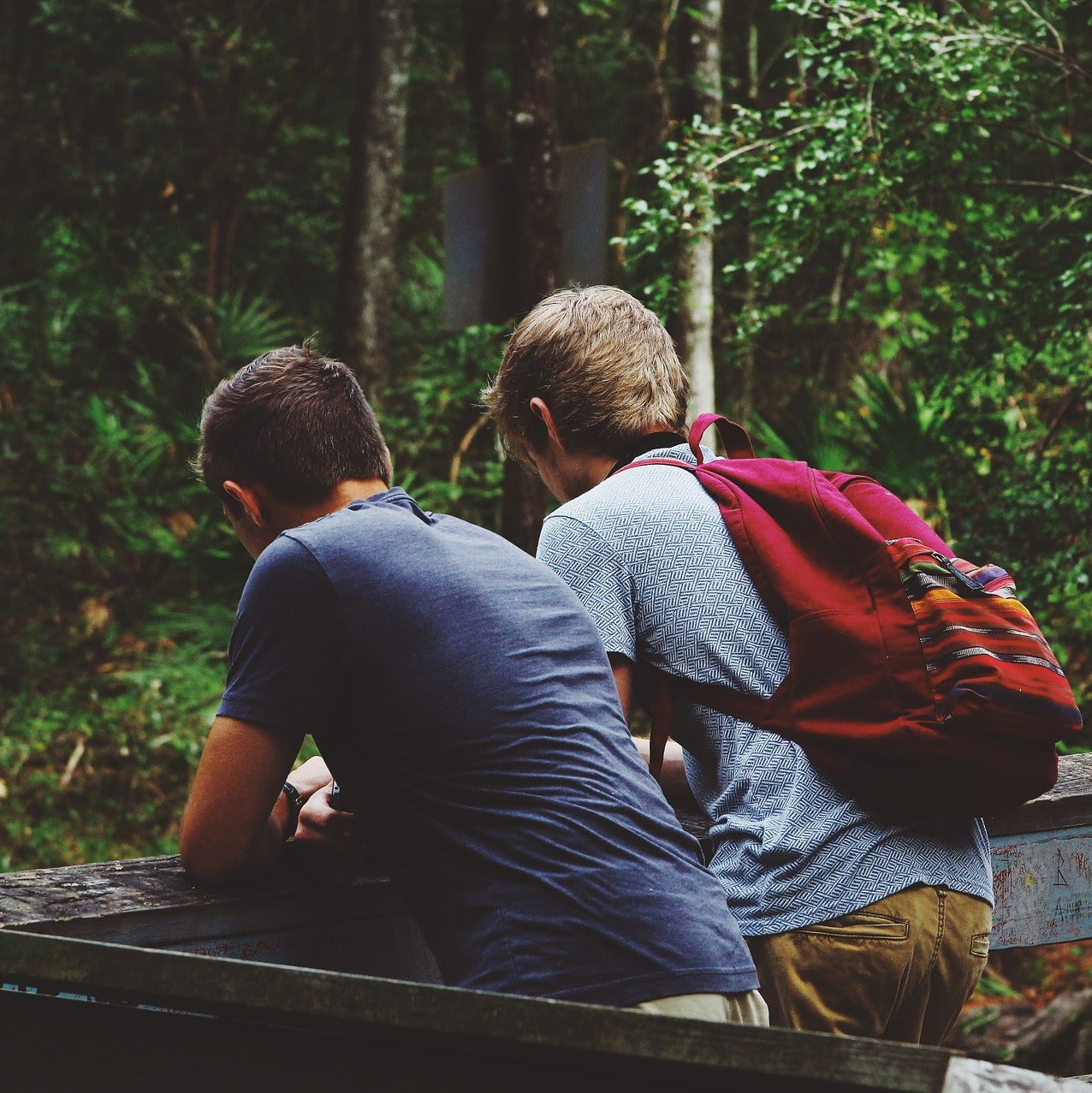 Nine Homeschool Myths Debunked: Homeschool Myth #1: Socialization