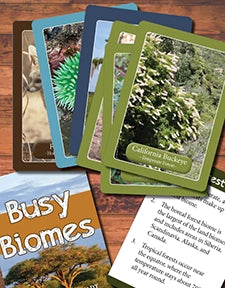 Busy Biomes Card Game