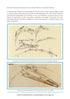 The Art of Seeing: Sketches of Leonardo da Vinci—Spiral Bound
