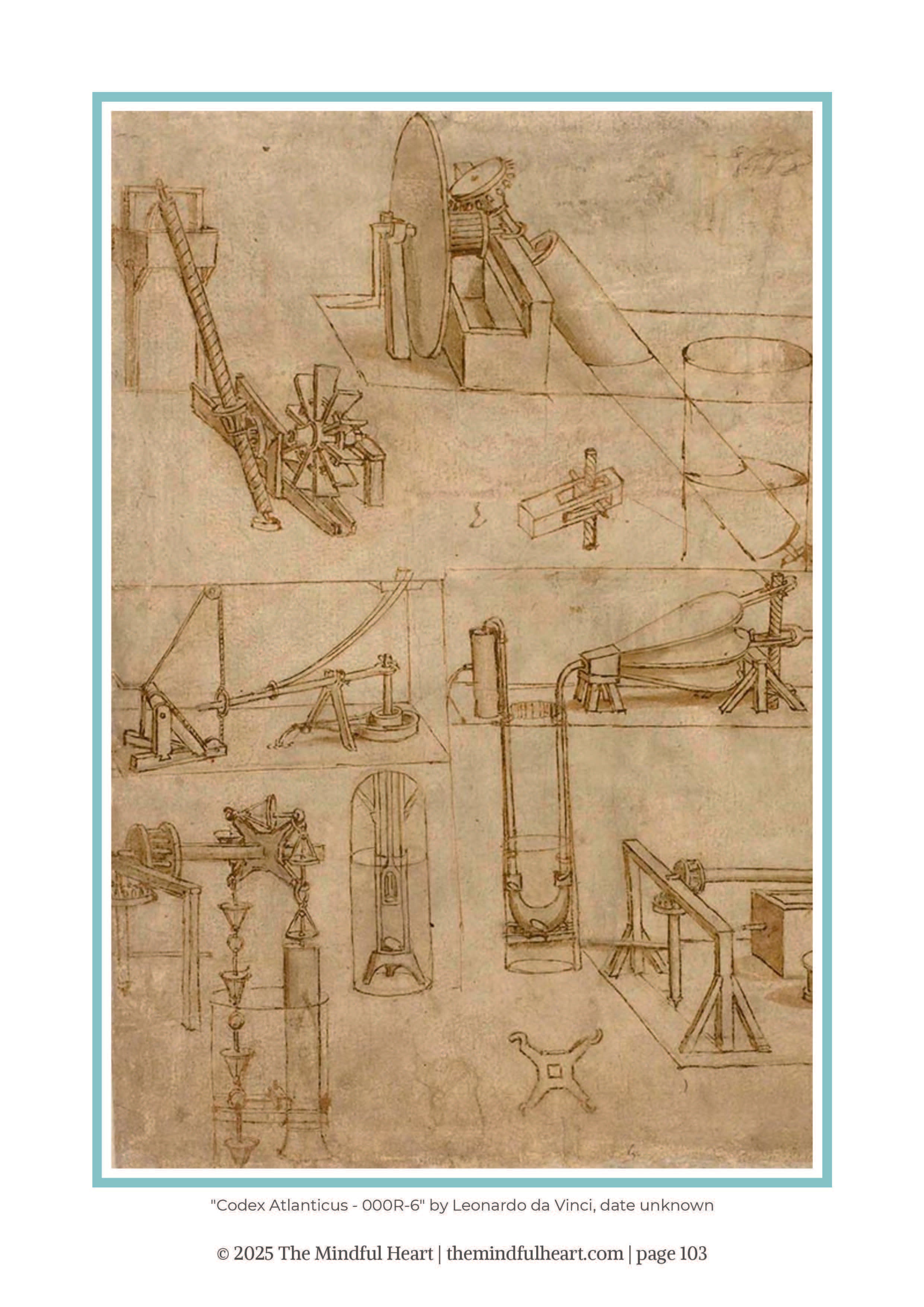 The Art of Seeing: Sketches of Leonardo da Vinci—Spiral Bound