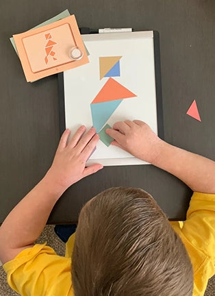 Tangram Puzzle Set