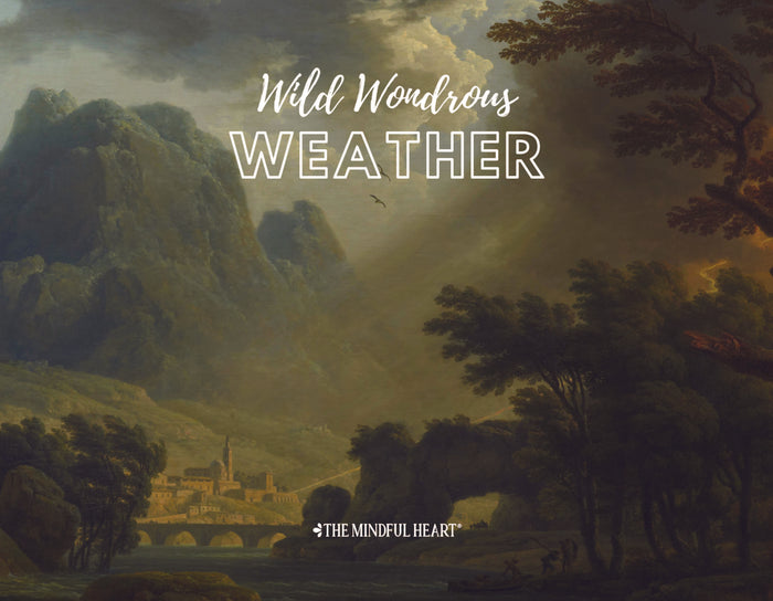 Wild Wondrous Weather (hardcover)