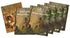PDF American History Set #1: Glimpses into the Past