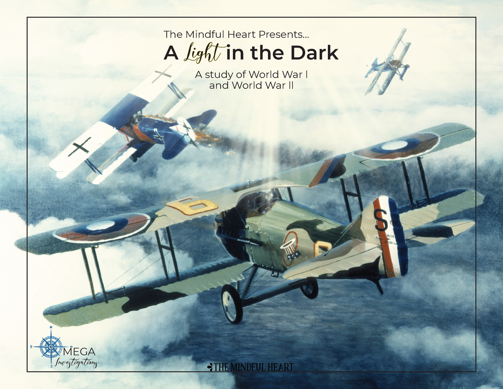 A Light in the Dark Investigation